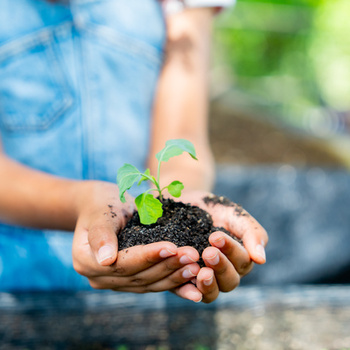 Агротехнологические классы в общеобразовательных организациях - fgospostavki.ru - Москва