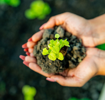 Инженерные биологические системы: междисциплинарное образование в школах - fgospostavki.ru - Москва