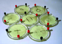 Демонстрационный комплект «Силовые линии электрического поля разных систем зарядов» - fgospostavki.ru - Москва