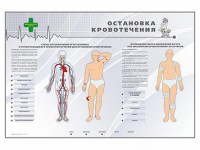 Электрифицированный стенд "Остановка кровотечения" - fgospostavki.ru - Москва