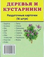 Раздаточные карточки "Деревья и кустарники" - fgospostavki.ru - Москва