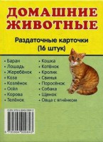 Раздаточные карточки "Домашние животные" - fgospostavki.ru - Москва