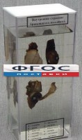 Влажный препарат "Внутреннее строение брюхоногого моллюска" - fgospostavki.ru - Москва