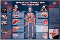 Электрифицированный стенд "Вредные привычки: алкоголизм" - fgospostavki.ru - Москва