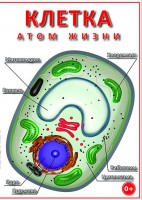 DVD "Клетка - "атом жизни" - fgospostavki.ru - Москва
