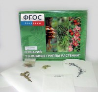 Гербарий "Основные группы растений" (52 листа) - fgospostavki.ru - Москва