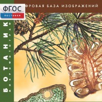 Ботаника. Микрофотографии. (Цифровая база изображений) - fgospostavki.ru - Москва