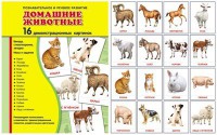 Демонстрационные карточки "Домашние животные" - fgospostavki.ru - Москва