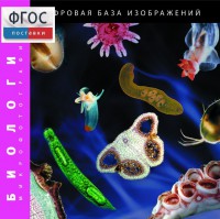 Биология. Микрофотографии. (Цифровая база изображений) - fgospostavki.ru - Москва