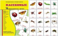 Демонстрационные карточки "Насекомые" - fgospostavki.ru - Москва
