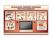 Многофункциональный интерактивный стенд-тренажер "Оказание первой помощи пострадавшим" для учащихся общеобразовательных учреждений - fgospostavki.ru - Москва