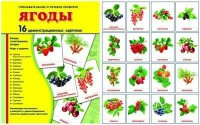 Демонстрационные карточки "Ягоды" - fgospostavki.ru - Москва