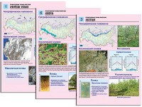 Комплект таблиц по географии "Природные зоны России" раздаточные (цветные, ламинированные, А4, 10 штук) - fgospostavki.ru - Москва