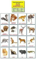 Раздаточные карточки "Дикие животные (2)" - fgospostavki.ru - Москва