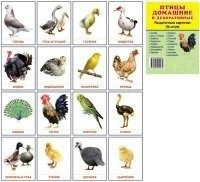 Раздаточные карточки "Птицы домашние и декоративные" - fgospostavki.ru - Москва