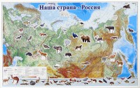 Магнитные карточки "Животные" - fgospostavki.ru - Москва
