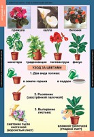 Комплект таблиц. Окружающий мир 1 класс. - fgospostavki.ru - Москва