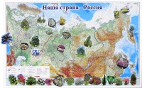 Магнитные карточки "Растения" - fgospostavki.ru - Москва