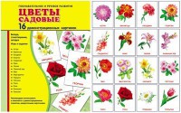 Демонстрационные карточки "Цветы садовые" - fgospostavki.ru - Москва
