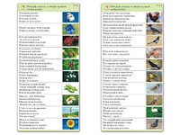 Комплект карточек (10) "Обучающий калейдоскоп. Природа" - fgospostavki.ru - Москва