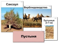 Модель-аппликация "Природные зоны России" (ламинированная) - fgospostavki.ru - Москва