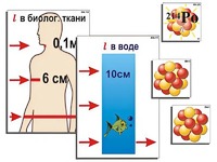 Модель-аппликация "Явление радиоактивности" (ламинированная) - fgospostavki.ru - Москва