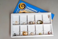 Коллекция "Раковины моллюсков" - fgospostavki.ru - Москва