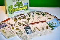 Гербарий к курсу основ общей биологии - fgospostavki.ru - Москва