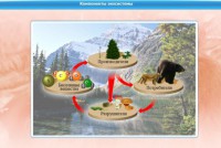 Интерактивные курсы. Биология 7 класс. Базовый. - fgospostavki.ru - Москва