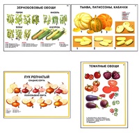 Плакаты ПРОФТЕХ "Ассортимент овощных культур" (12 пл, винил, 70х100) - fgospostavki.ru - Москва