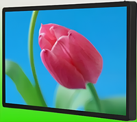 Киоск информационный настенный сенсорный 27" (вариант 2) - fgospostavki.ru - Москва