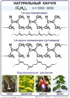 Комплект демонстрационных таблиц по химии "Полимеры" (комплект 12 таблиц) - fgospostavki.ru - Москва