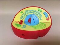 Модель растительной клетки - fgospostavki.ru - Москва