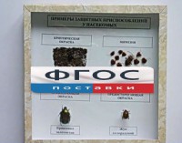 Коллекция энтомологическая "Примеры защитных приспособлений у насекомых" - fgospostavki.ru - Москва