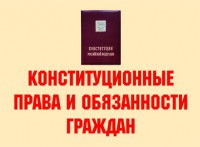 Комплект плакатов "Конституционные права и обязанности граждан" - fgospostavki.ru - Москва