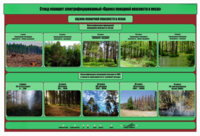 Стенд-планшет электрифицированный «Оценка пожарной опасности в лесах»  - fgospostavki.ru - Москва