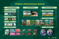Электрифицированный стенд "Уровни организации жизни" - fgospostavki.ru - Москва