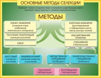 Стенд "Методы селекции и биотехнологии" - fgospostavki.ru - Москва