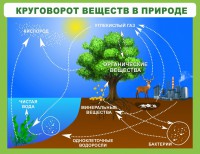 Стенд "Круговорот веществ" - fgospostavki.ru - Москва