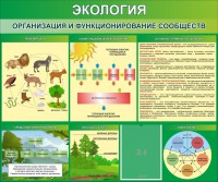 Стенд "Экология. Организация и функционирование сообществ" - fgospostavki.ru - Москва