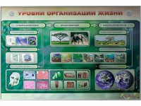 Электрифицированный стенд "Уровни организации жизни" - fgospostavki.ru - Москва