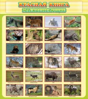 Стенд "Красная книга - млекопитающие" - fgospostavki.ru - Москва