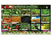 Комплект оборудования "Живой уголок" (растения) - fgospostavki.ru - Москва