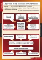 Комплект таблиц. ОБЖ. Здоровый образ жизни. - fgospostavki.ru - Москва