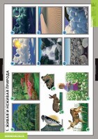 Комплект таблиц. Окружающий мир. Летние и осенние изменения в природе. - fgospostavki.ru - Москва