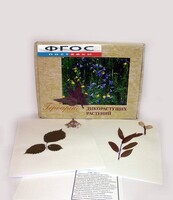 Гербарий "Дикорастущие растения" (28 видов) - fgospostavki.ru - Москва