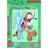 Интерактивные плакаты. Биология человека. Программно-методический комплекс - fgospostavki.ru - Москва