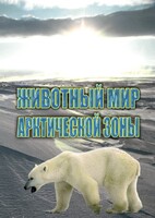 DVD "Животный мир Арктической зоны" - fgospostavki.ru - Москва