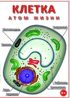 DVD "Клетка - "атом жизни" - fgospostavki.ru - Москва