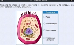 Интерактивные курсы. Биология 8 класс. Базовый - fgospostavki.ru - Москва